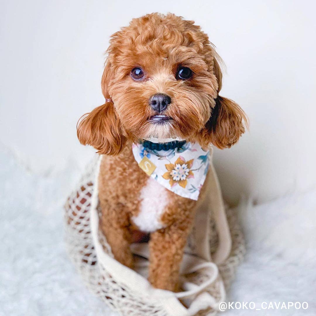 Sebastian Says – wholesale Livsmedels-/Shoppingväska – Bomull Eco Net Tote4