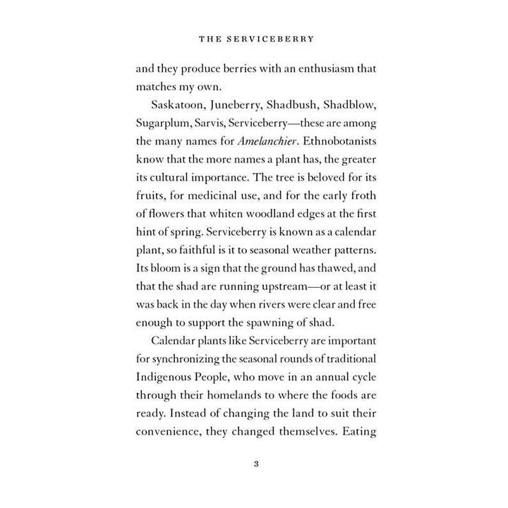 Simon & Schuster - Wholesale Book - Adult - Serviceberry by Robin Wall Kimmerer