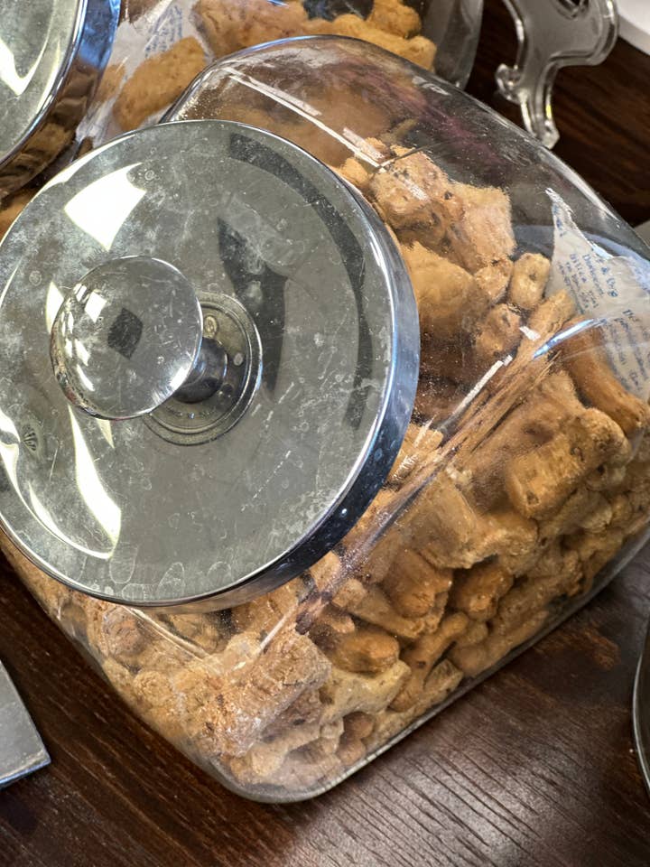 Breath Refresh Bulk Dog Treats for wholesale by Dog Days Barkery