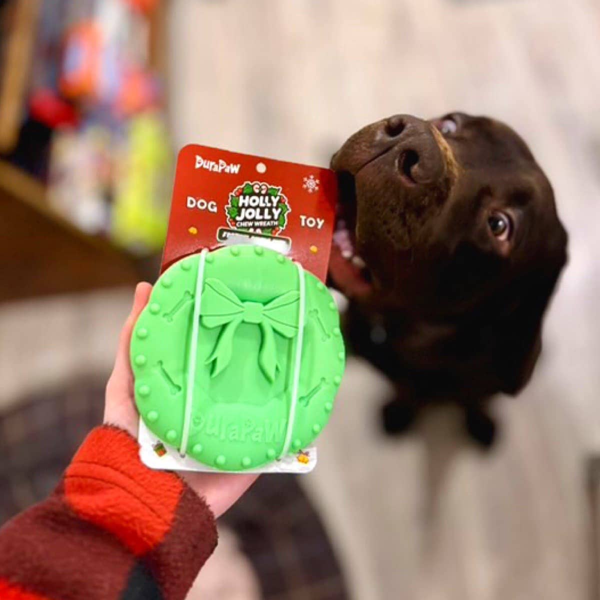 DuraPaw - Wholesale Pet Chew Toy - Dog - DuraPaw Christmas Wreath Nylon Dog Chew Toy1