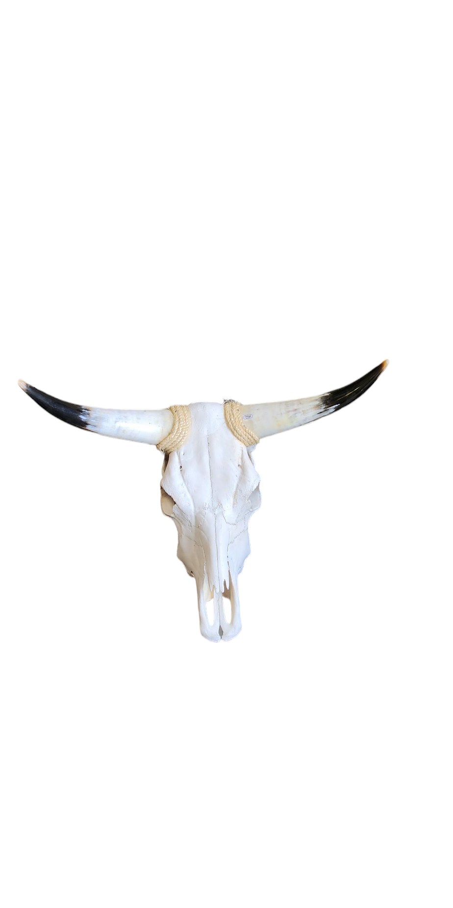 Luises Perez Imports LLC – Großhandel 3D-Wandkunst – Verschiedene kleine Totenköpfe2