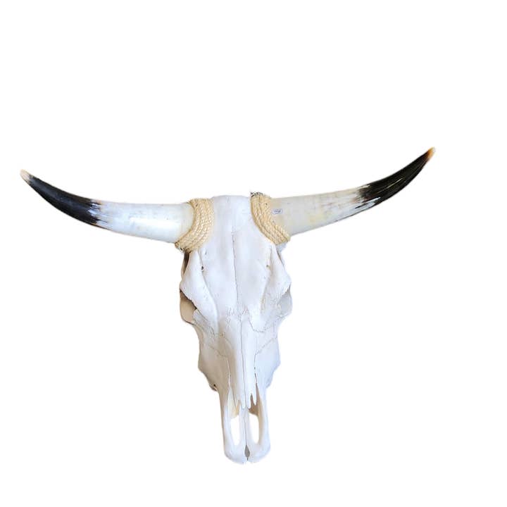 Luises Perez Imports LLC - Wholesale Wall Accent - Assorted Small skull2