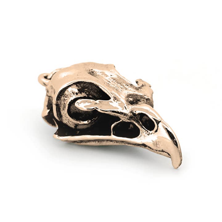 Red-Tailed Hawk for wholesale by Fire & Bone