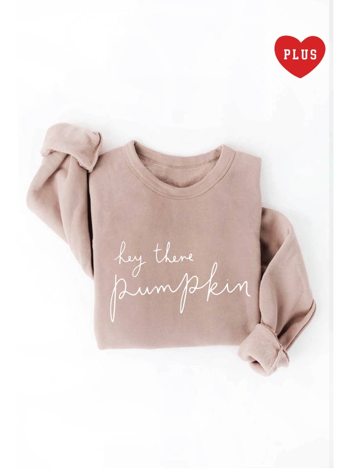 OAT COLLECTIVE - Wholesale Graphic Sweatshirt - Women's - HEY THERE PUMPKIN Plus Graphic Sweatshirt18