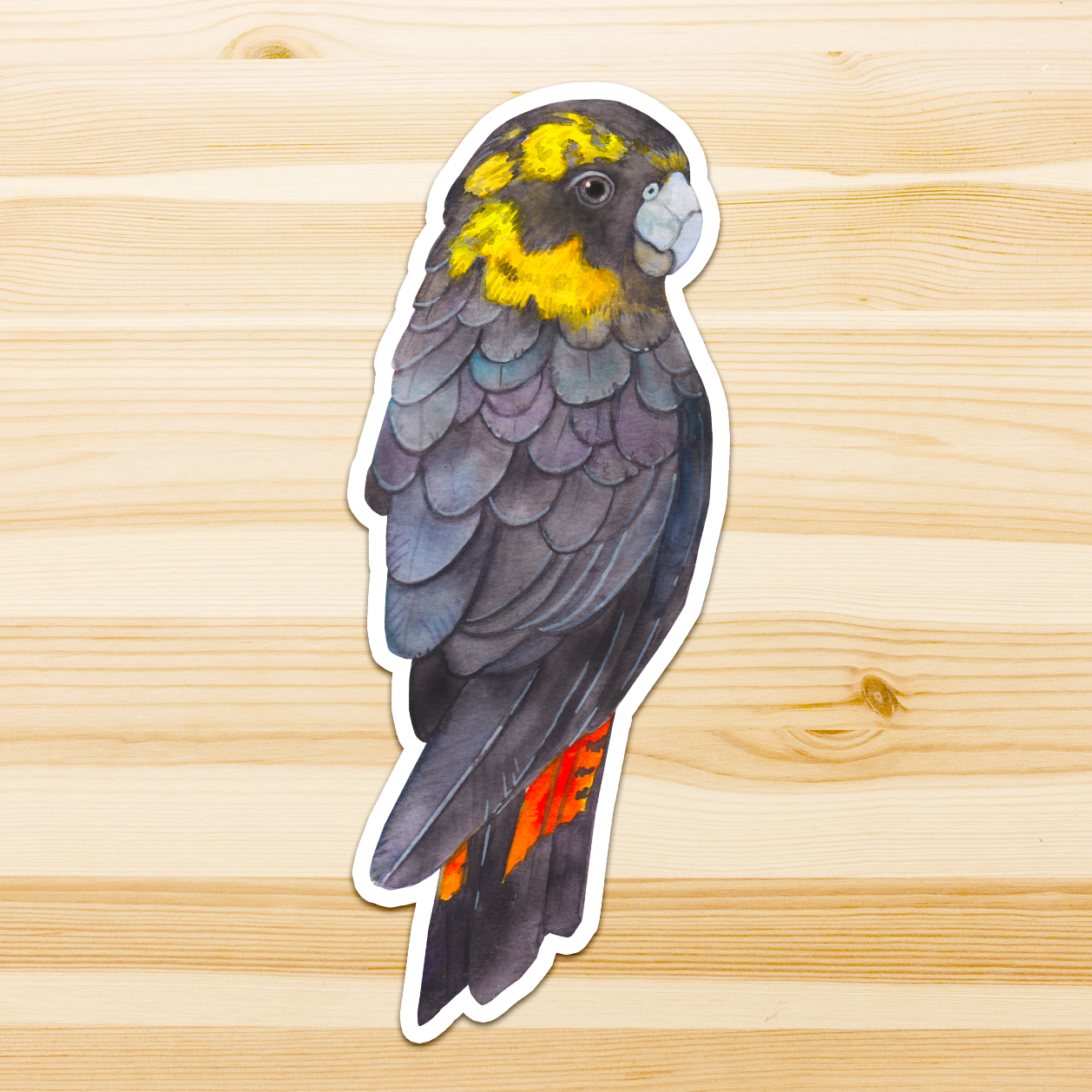 Watercolour By Cat - Vendita all'ingrosso Adesivo - Adesivo in vinile con grande uccello australiano19