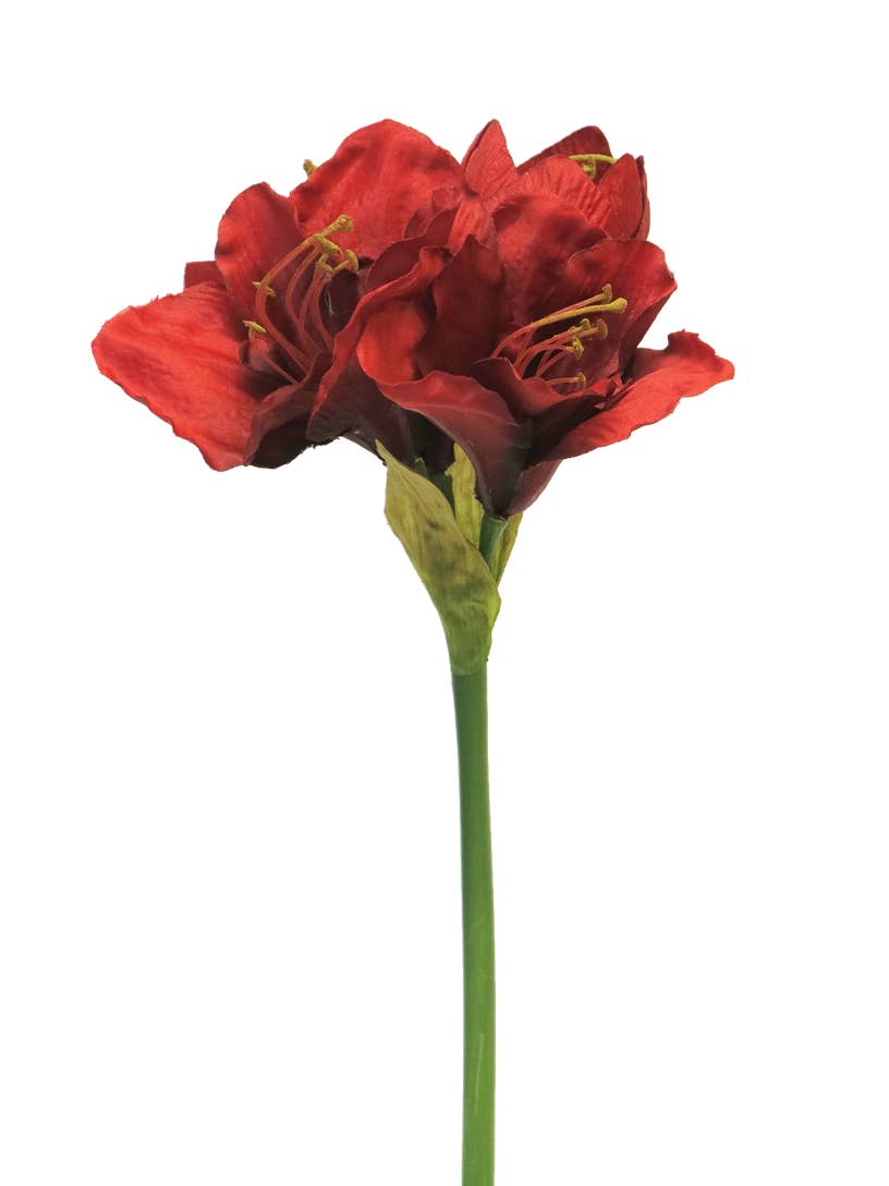 DRYdecorations - Wholesale Artificial Flowers - Hippeastrum Aline red