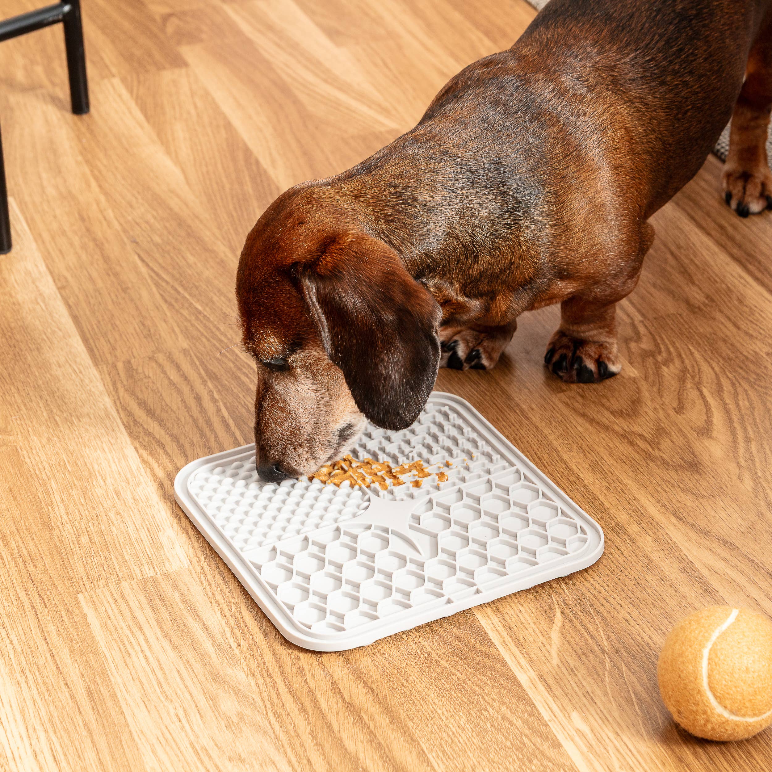Park Life Designs – wholesale Pet food mat – Dog – Calming Lick Mat10