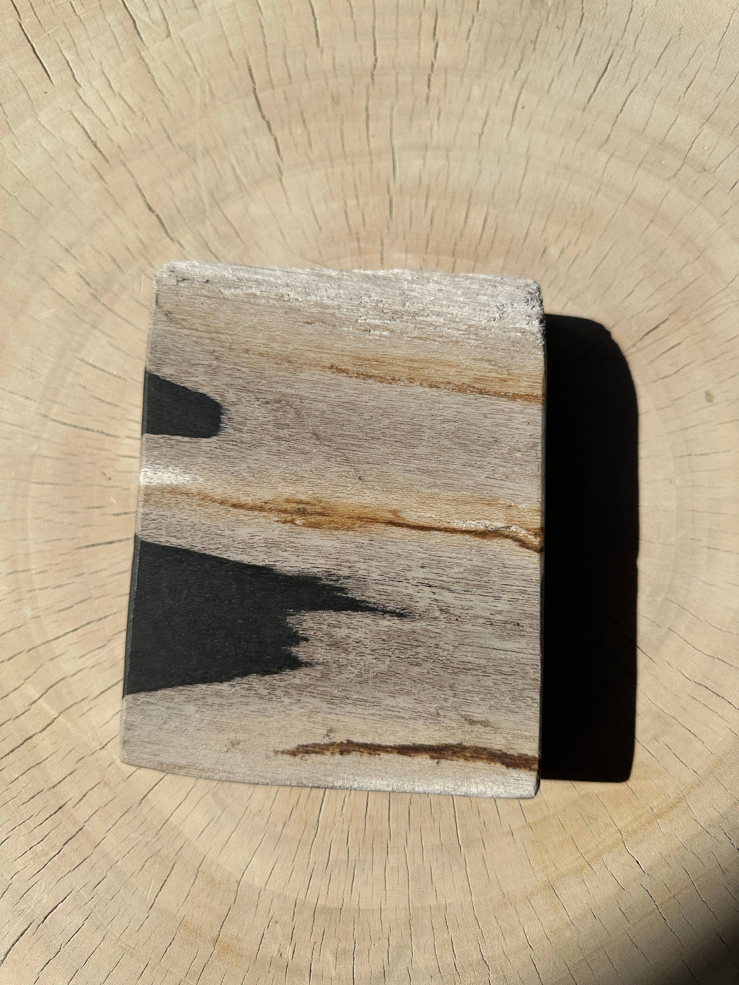 Office Objets - Wholesale Bath Soap Dish - Petrified wood soap dish with white underside48