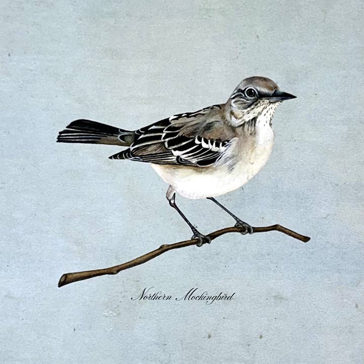 Gilded Palms - Wholesale Art Print - Northern Mockingbird on Blue Print1