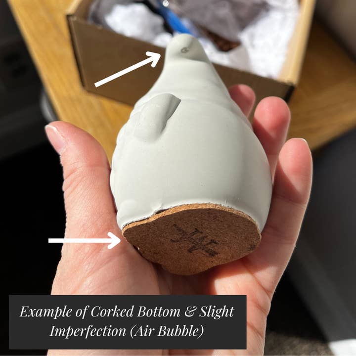 The Market Made - Wholesale DIY Craft Kit - Paint Your Own Mushroom Kit | Paint Your Own Decor Activity Set | Paint Your Own Handmade Concrete Gift Set14