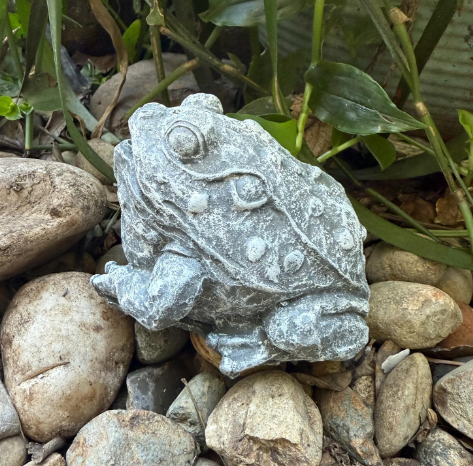 Backyard Stone Art – Ornamento/decoração ao ar livre por atacado – Estátua de Jardim de Sapo de Betão, Jardim do Sapo de Pedra,13