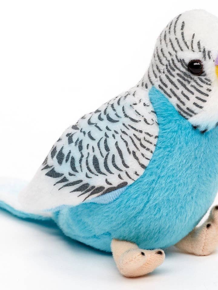 Budgie (bleue) - Sans voix - doudouille/peluche pour la vente par Uni Toys