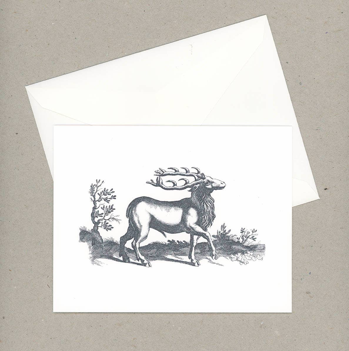 VMazzoni - Wholesale Stationery/Notecard Set - Whimsical Note Cards Set of Six3