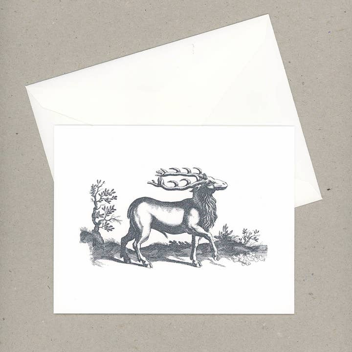 VMazzoni - Wholesale Stationery/Notecard Set - Whimsical Note Cards Set of Six3