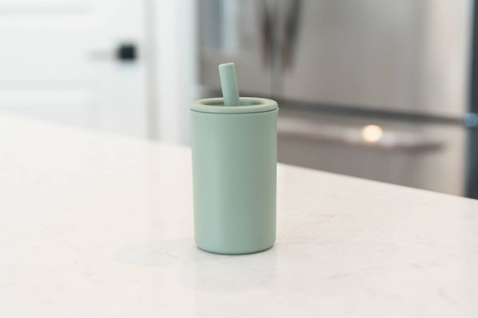 Babeehive Goods - Wholesale Drinking Glass/Cup - Kids & Baby - Silicone Straw Cup2