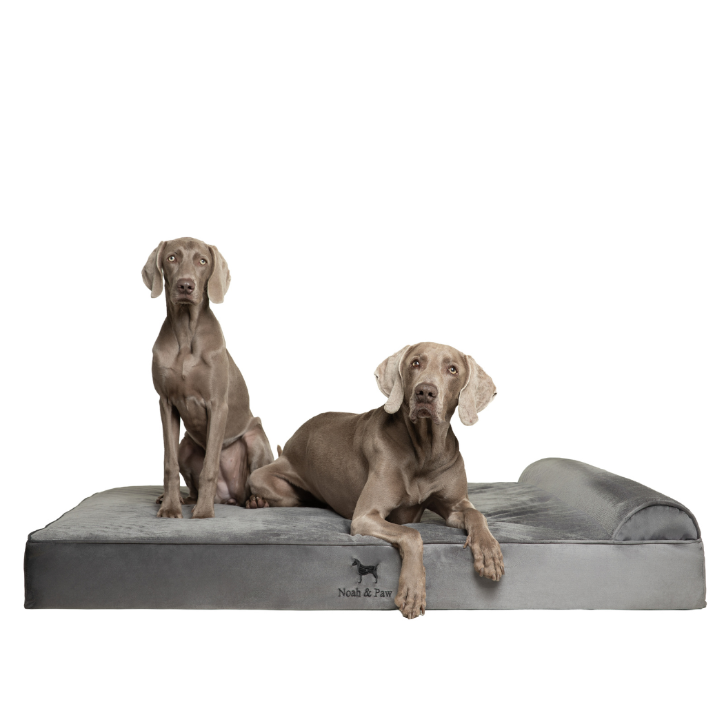 NOAH AND PAW LLC - Wholesale Bed voor huisdieren- Kat/hond - Fluwelen orthopedisch huisdierbed, traagschuim, doordrenkt met verkoelende gel - Klassiek11