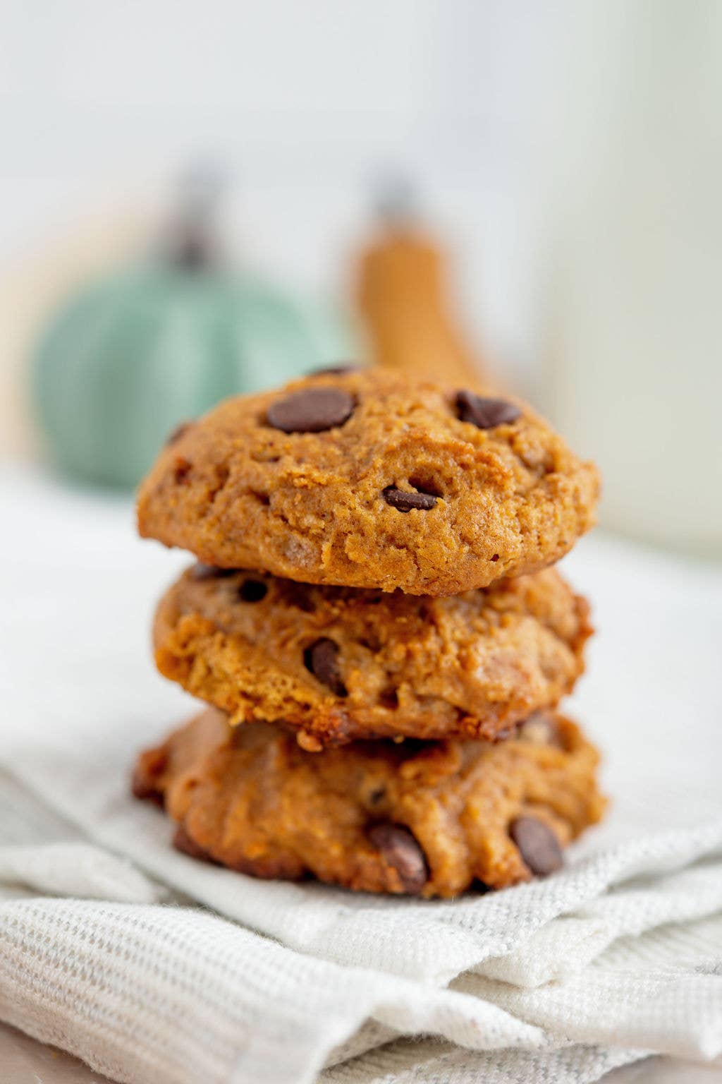 Lehi Mills - Wholesale Cookie Mix - Pumpkin Chocolate Chip Cookie4
