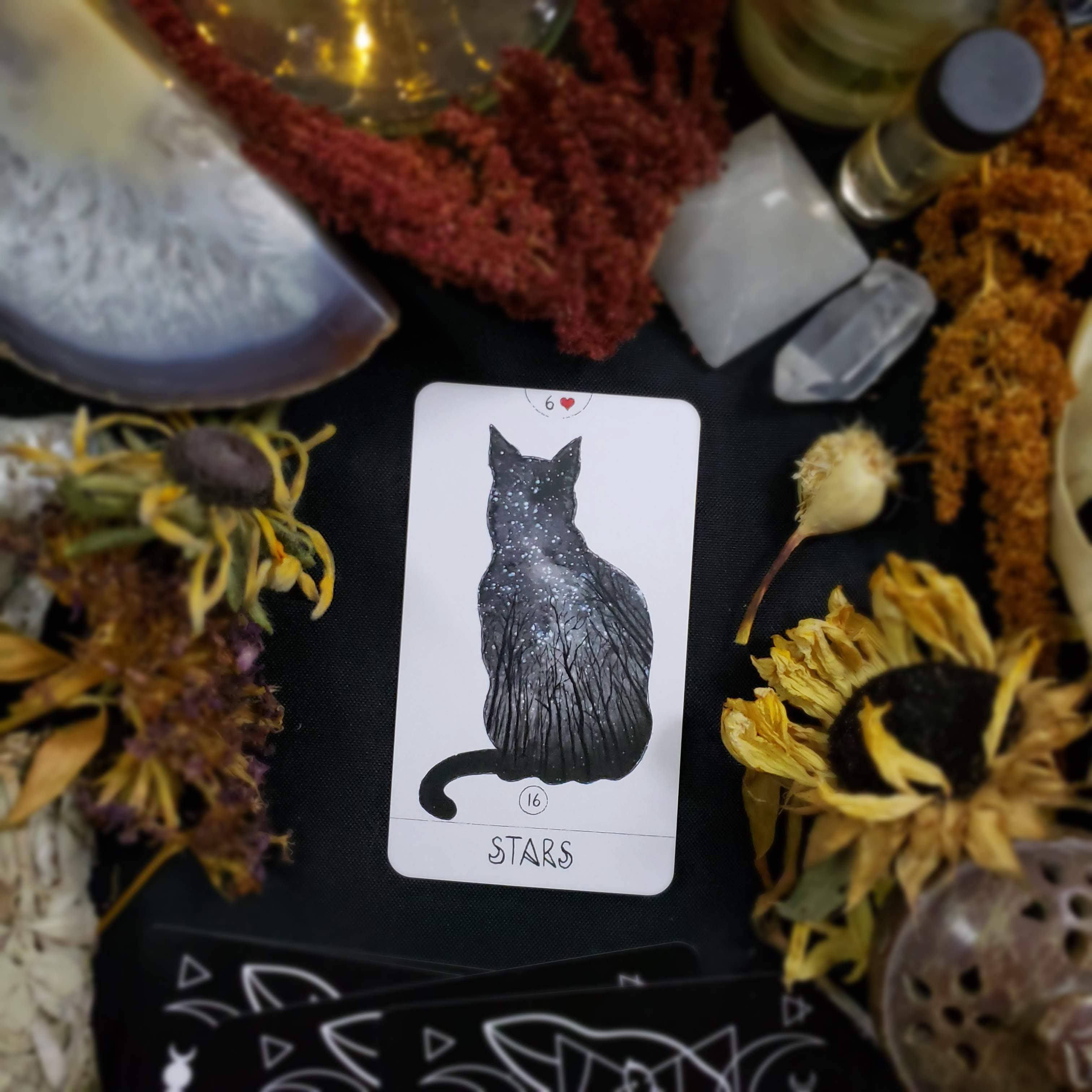Black Cat Oracle Cards - Wholesale Tarot Cards - Black Cat Lenormand Cards3