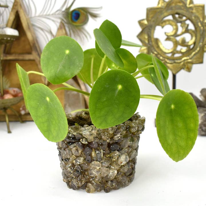 Rock Paradise - Wholesale Plant Pot - Crystal Tumbled Stone Flower Pot - Size #5 (TUM-POT5)