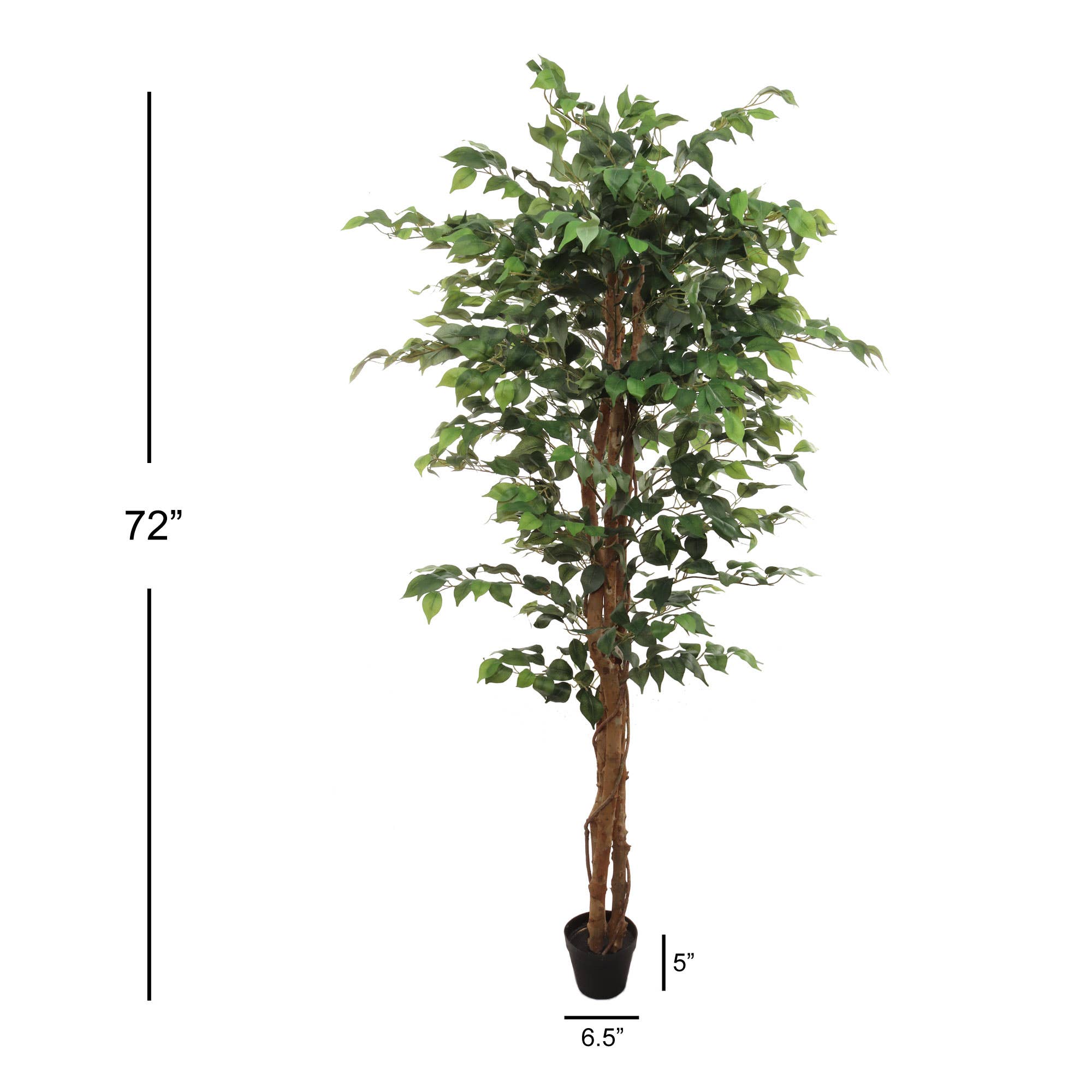 Larksilk - Venta al por mayor Plantas artificiales - Árbol artificial de ficus de 1,83 metros con 1008 hojas y maceta negra3