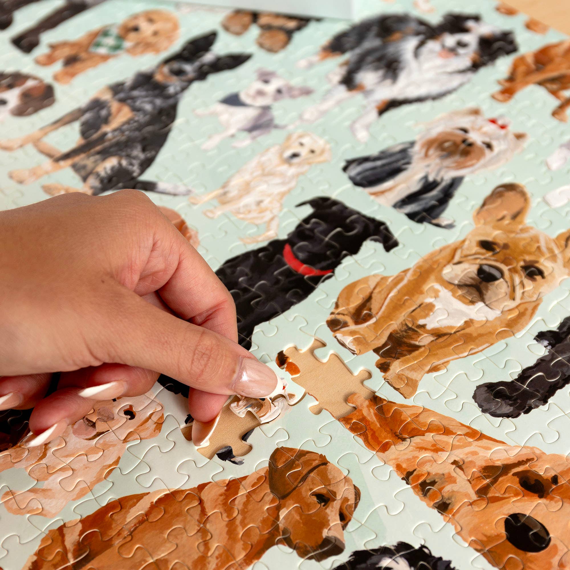 1canoe2 | One Canoe Two Paper Co. - Wholesale Puzzle - Adult - Furry Friends - 1,000 Piece Dogs Jigsaw Puzzle4