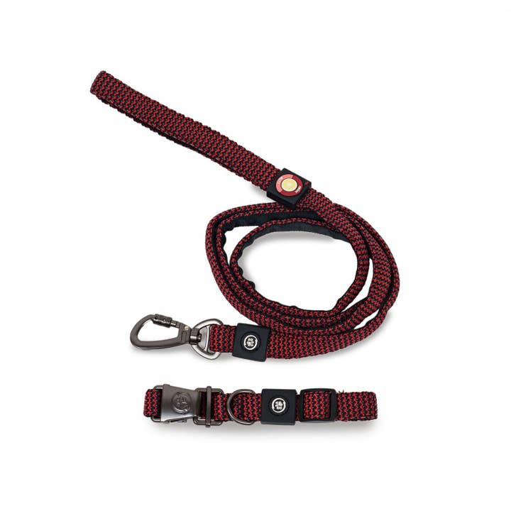 Dollar Paw - Wholesale Pet Collar - Dog - Dog Collar With Leash7