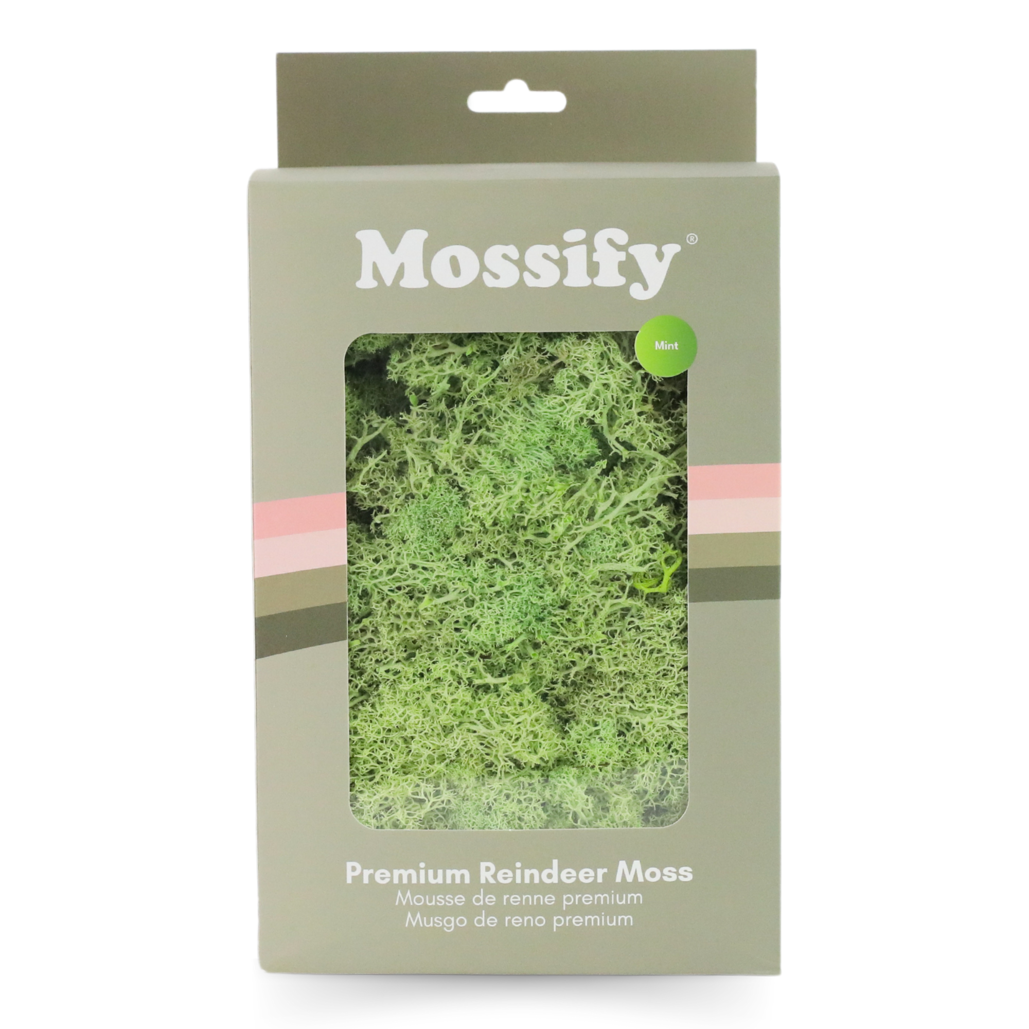 Mossify - Wholesale Live Plant - Premium Preserved Reindeer Moss – Colorful Decorative Mix2