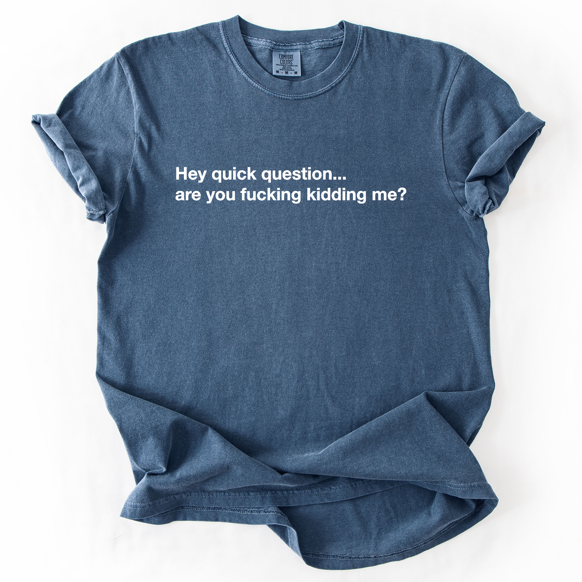 Refinery Number One LLC - Wholesale T-Shirt (Graphic) - Unisex - Hey Quick Question, Are You Kidding Me, Sarcastic T-Shirt3