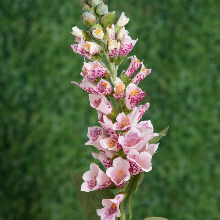 Mezu Silk Flowers - Wholesale Artificial Flowers - Artificial Pink Foxgloves