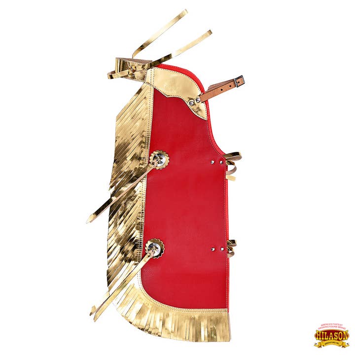 HILASON - Wholesale Horseback Riding Gear - Hilason Junior Youth Bull Riding Pro Rodeo Leather Protective Vest Chaps13