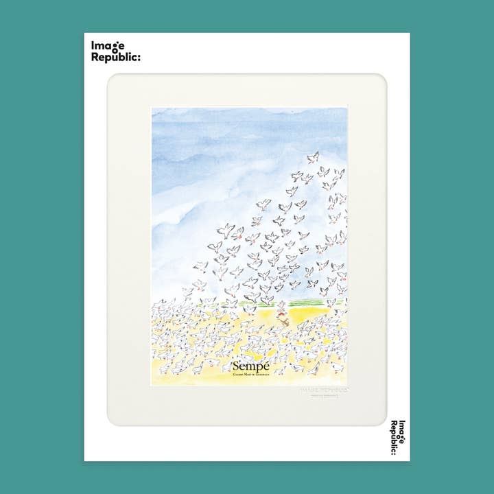 30x40 cm SEMPE-VÖGEL für den Großhandel von Image Republic