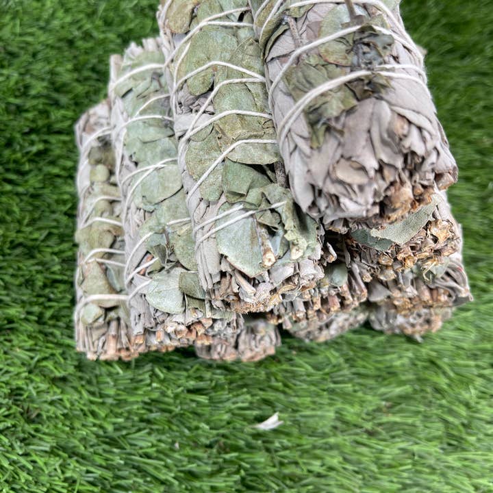 CaNatureLover - Wholesale Sage Bundle - White Sage with Eucalyptus, Hand Wrapped Thick bundles.6