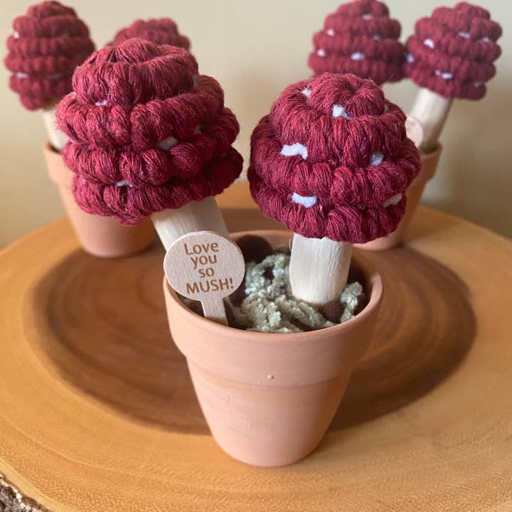 ForgetBKnot - Wholesale Artificial Plant - “Love you So Mush” Macrame Mushroom Arrangement5