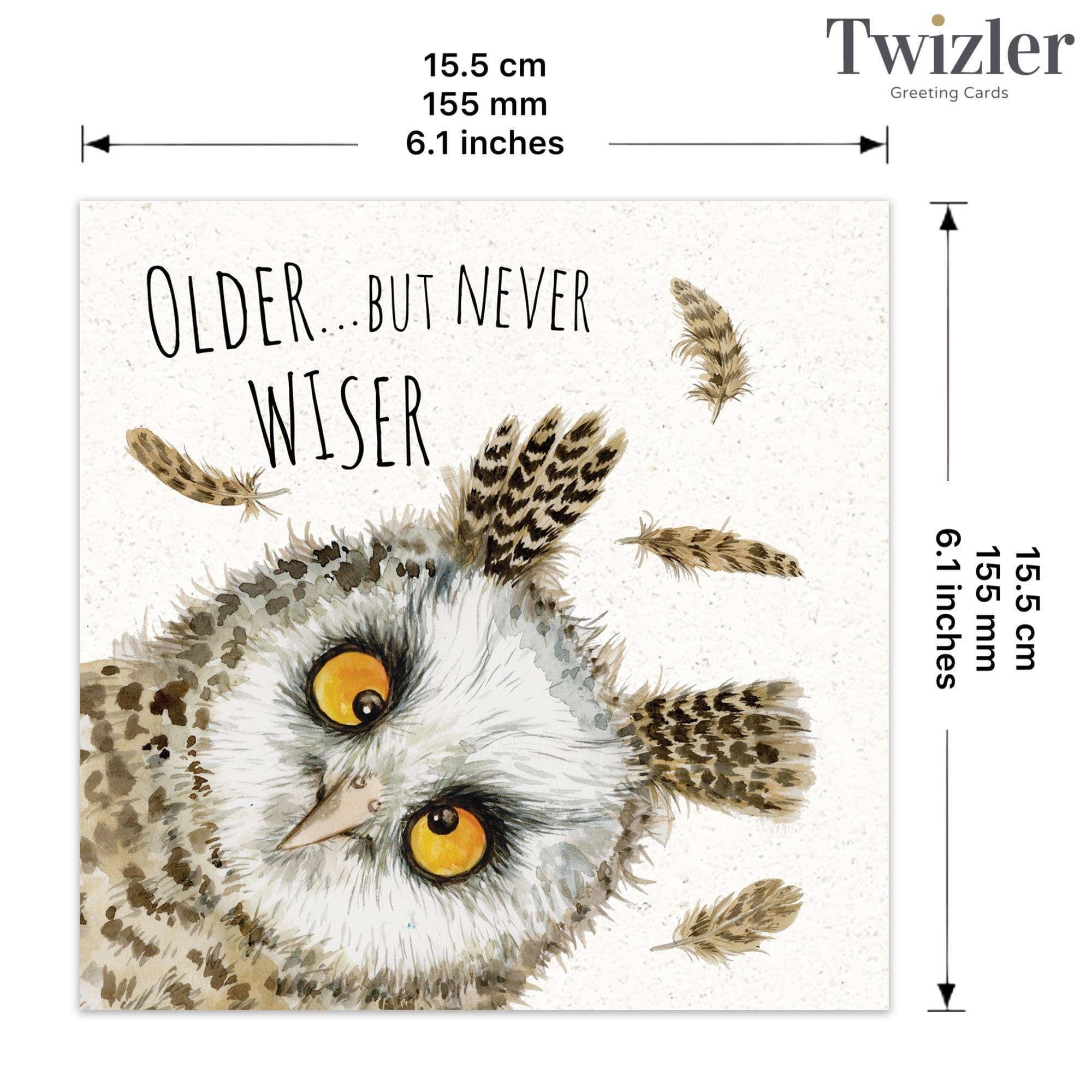 Twizler Ltd - Wholesale Birthday Card - Funny Card Owl Never Wiser2