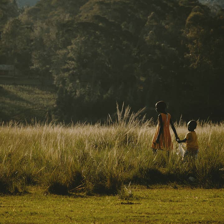 Rhythm & Hues - Wholesale Photograph - Passing Light