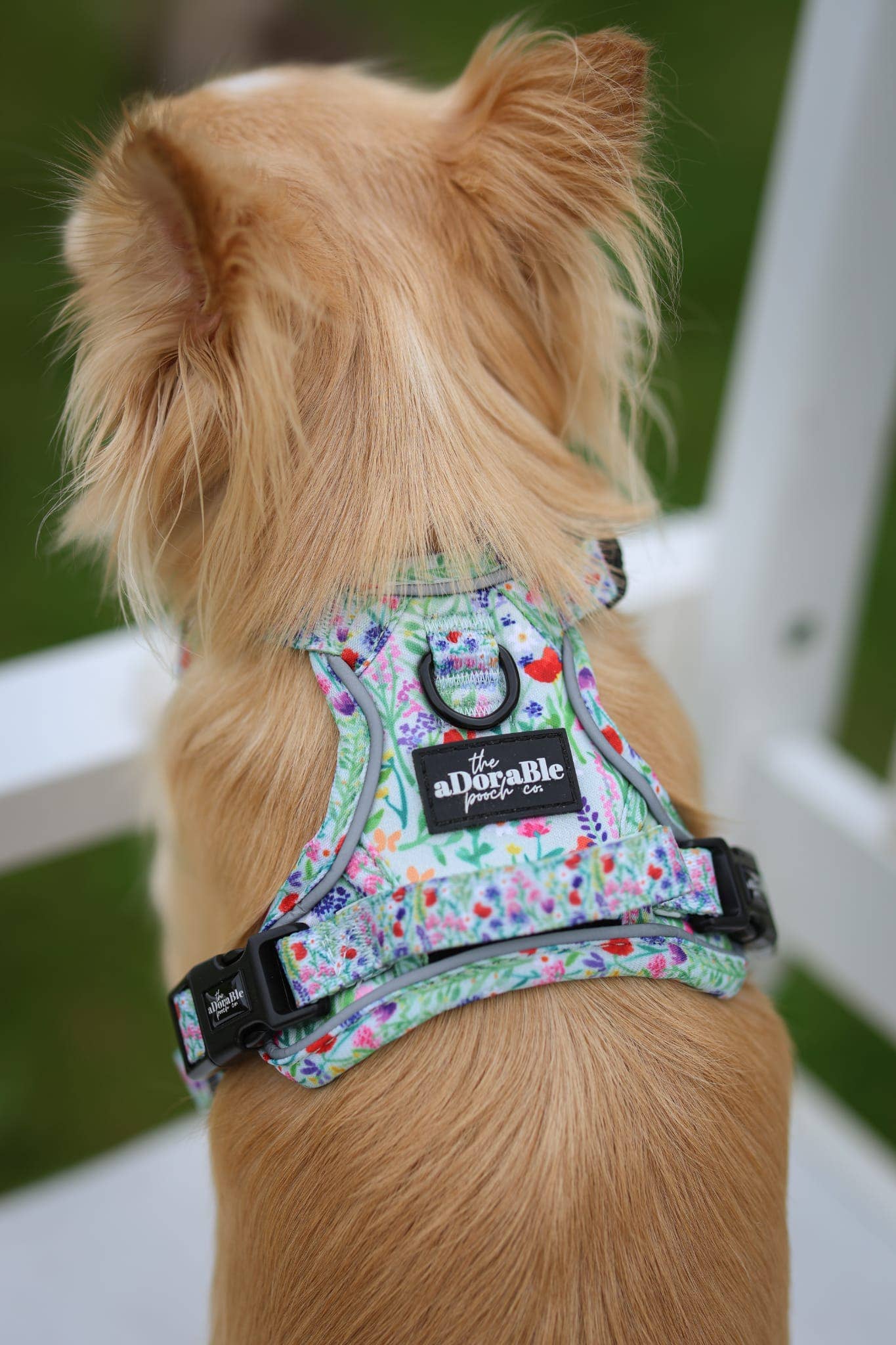 The aDoraBle Pooch Company - Wholesale Tuig voor huisdieren - Hond - Hike & Go Lite™ Harnas - Wildflower Meadow16