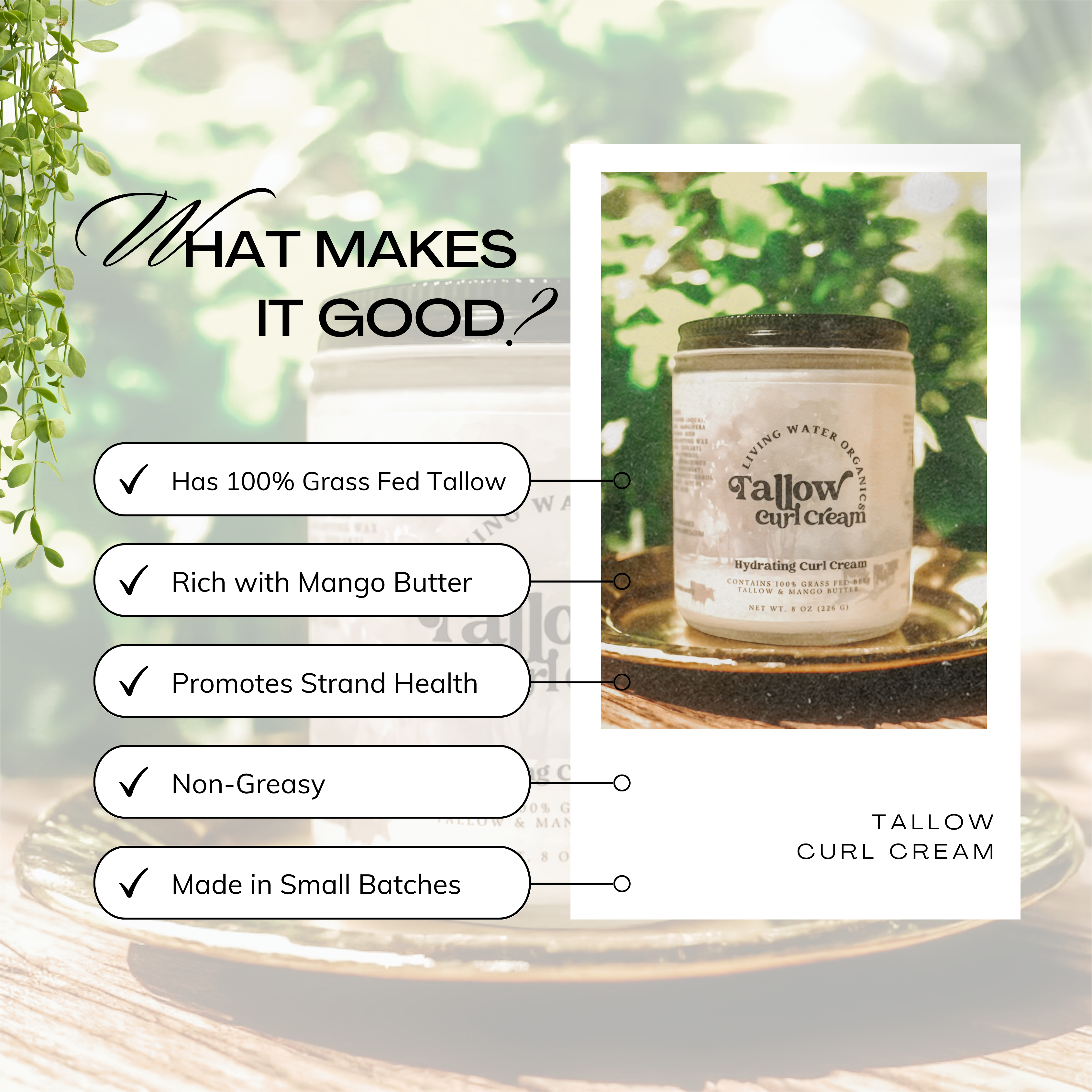 Living Water Organics - Wholesale Hair Styling Gel/Mousse - 100% Grass Fed Tallow Curl Cream Tallow Tree for Curly Hair1