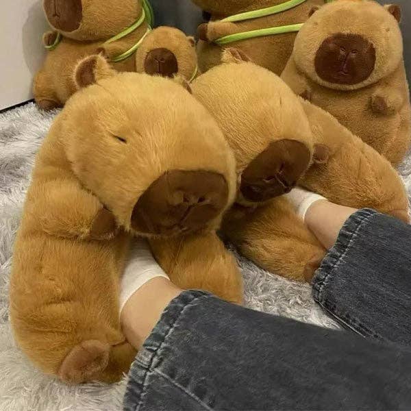 Showcase - Wholesale Slippers - Women's - Capybara Plush Fluffy Animal Slippers