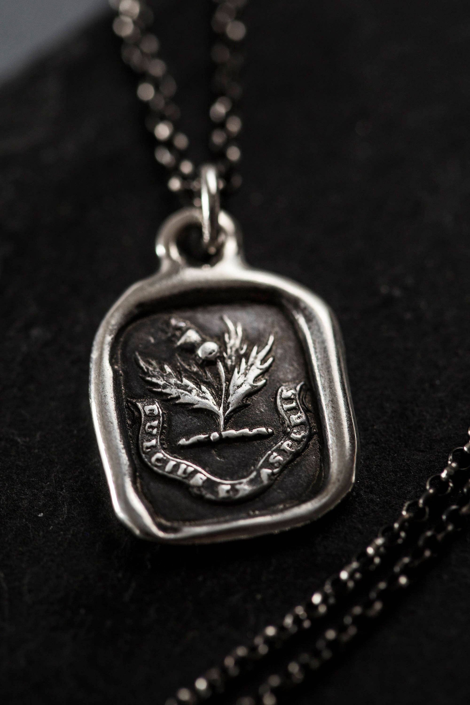 Plum and Posey - Wholesale Pendant/Charm Necklace - Sweeter After Difficulties Thistle Necklace2