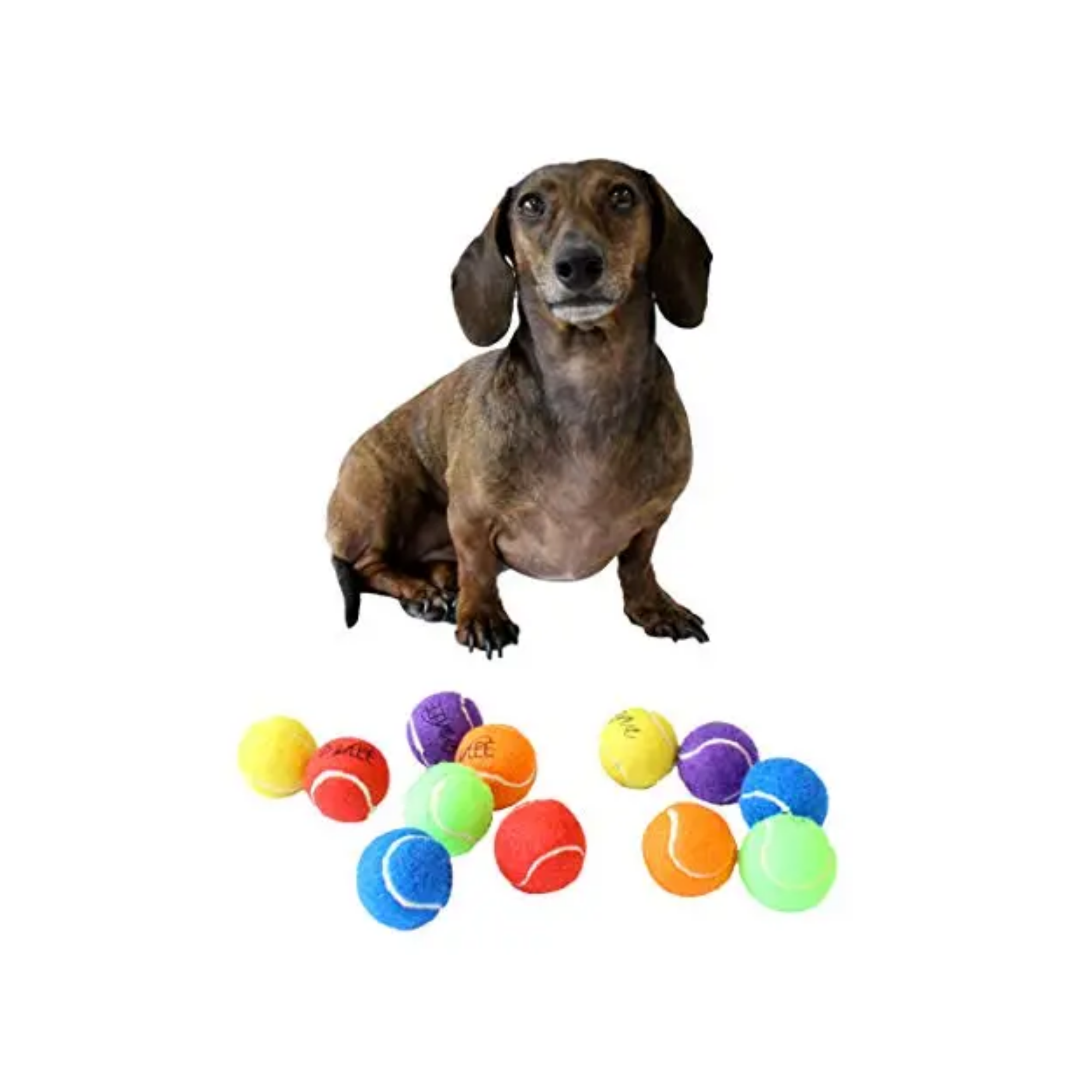 Midlee Designs - Wholesale Pet Fetch Ball - Dog - Midlee Mini 1.5" Dog Tennis Balls w/ Squeaker - Solid Colors2
