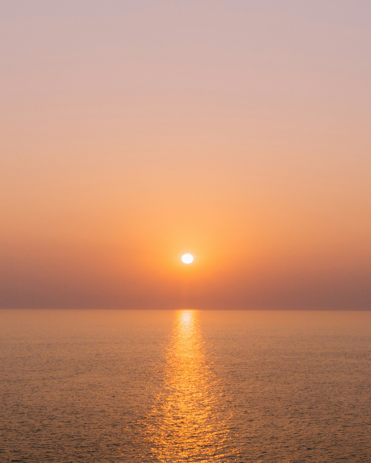 Wangi Wellness - Vente Brumes d'aromathérapie - Réveil - Brume de Douche Aromathérapie3