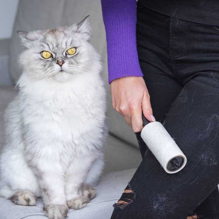 Salav-True & Tidy - Wholesale Lint Roller - SALAV Mini Sticky Roller Lint Remover for Fabrics