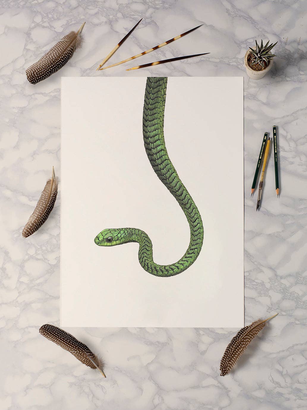 Hidden Planet - Vente Affiche d'art - Boomslang - Impression A4 (portrait)2