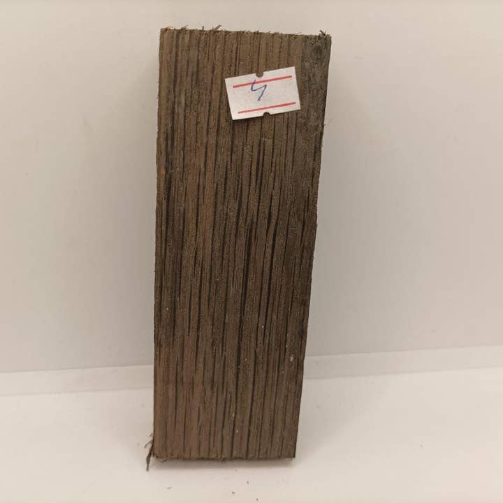 Sort Moseeg Morta Træ 140x27x49mm 1000-6000år N4 for engroshandel hos Prut63683