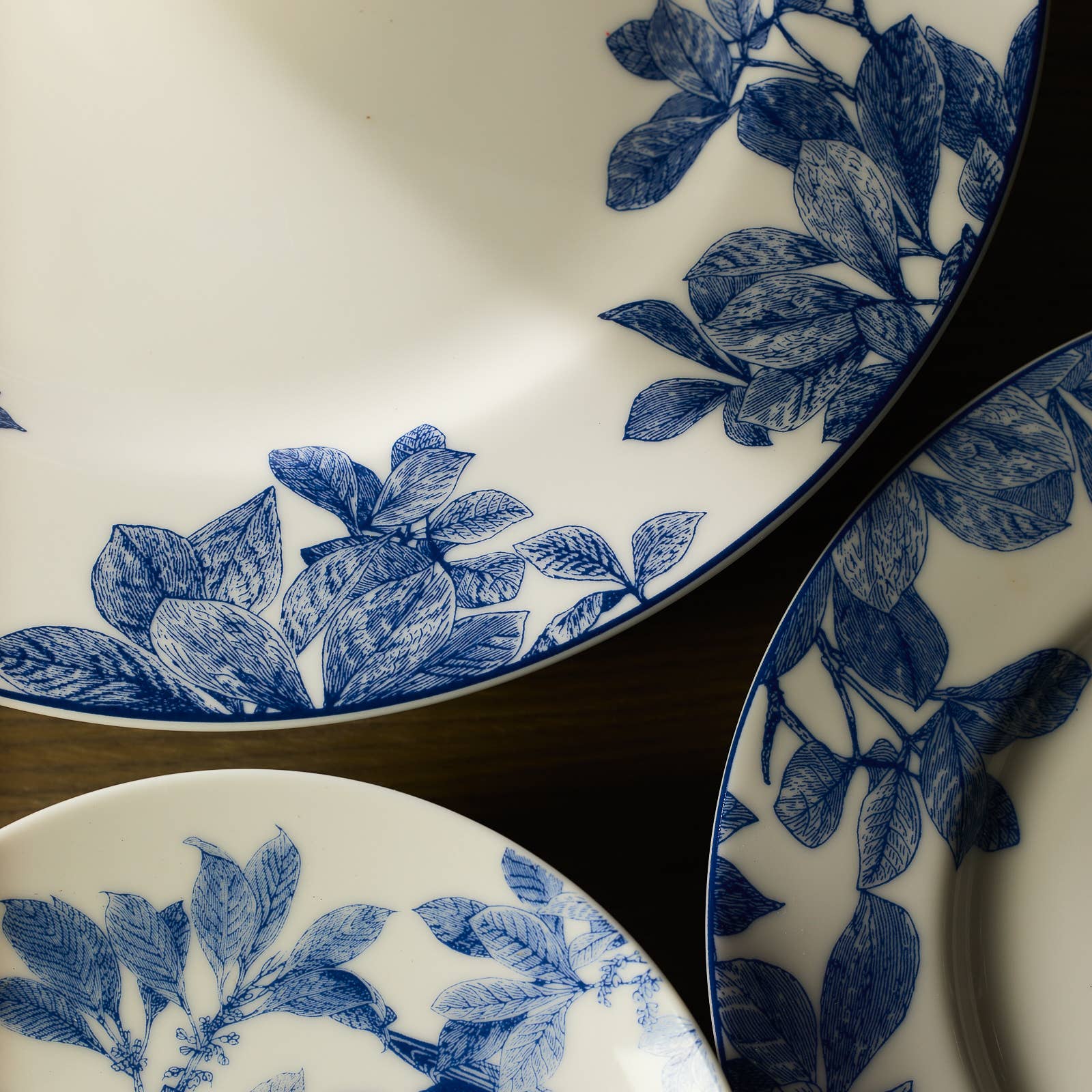 Caskata - Wholesale Dinner Plate - Arbor Rimmed Dinner Plate4