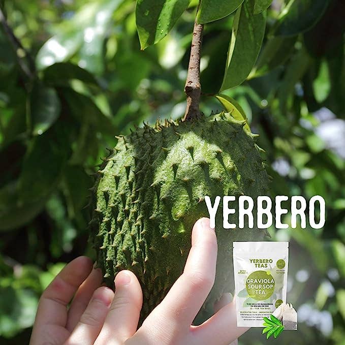 YERBERO - Wholesale Tea Bags - Yerbero - Pure Graviola Soursop Leaf Tea 30 Tea Bags 1gr (0.03oz) - Net WT 30gr (1.3oz) | Hoja Guanabana
