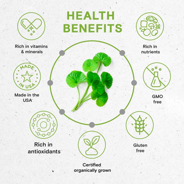 Secrets Of The Tribe - Wholesale Tincture - Gotu Kola Tincture8