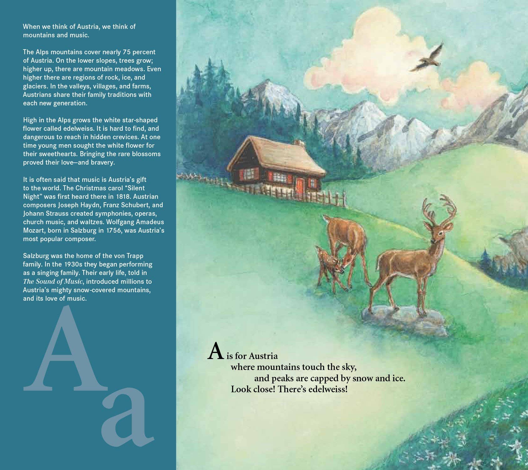 Sleeping Bear Press - Vente Livre pour jeunes lecteurs (de 6 à 8 ans) - V comme von Trapp : Un abécédaire musical de la famille en images1