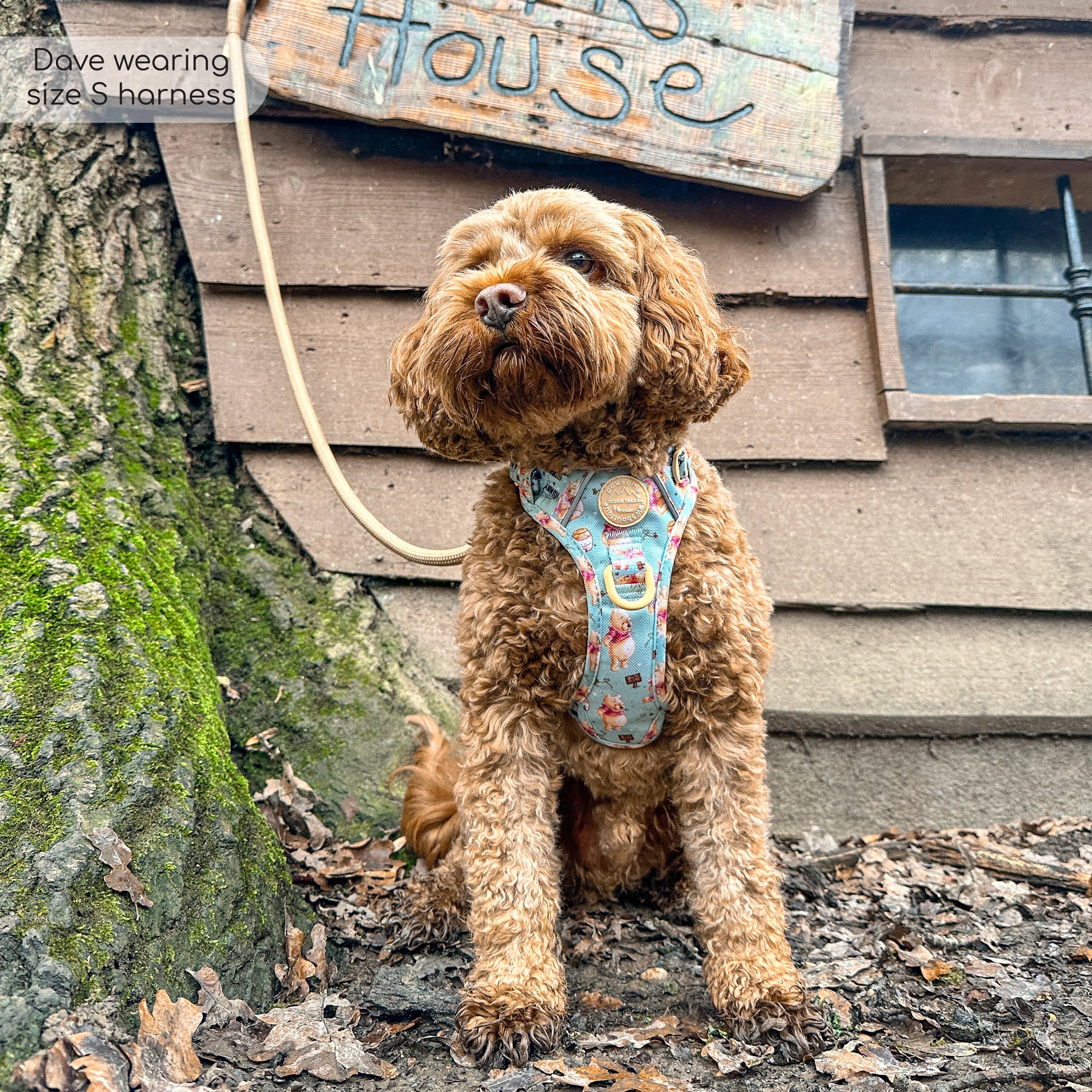 Pawsome Paws – Großhandel Haustiergeschirr – Hund – Disney© Tough Trails™ Geschirr – Winnie Puuh31