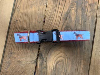 Preston Ribbons - Wholesale Pet Collar - Dog - American Dog #5454